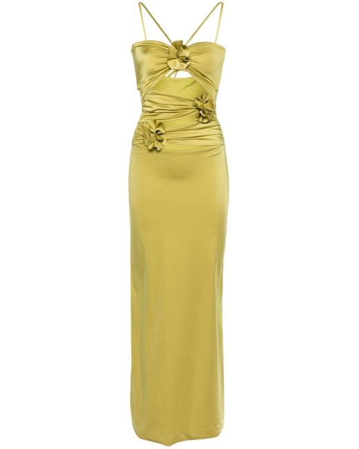 Maygel Coronel Veranera Floral-appliqué Maxi Dress in het Yellow