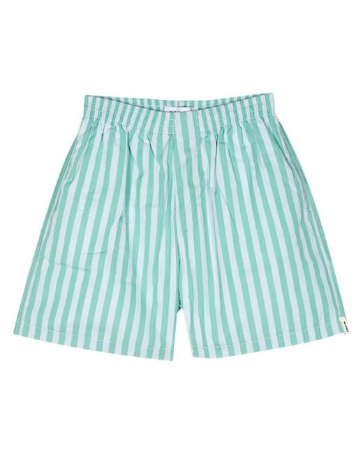 Sunnei Blue Striped Cotton Bermuda Shorts for men