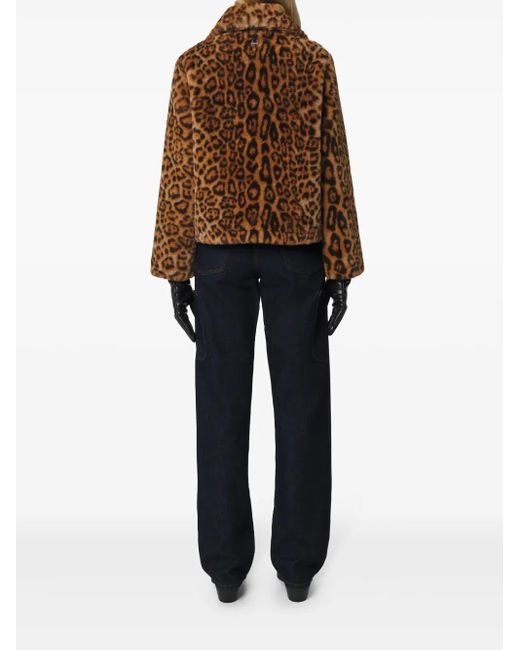 Apparis Brown Jacke Aus Recyceltem Polyester Mit Leoparden-Print