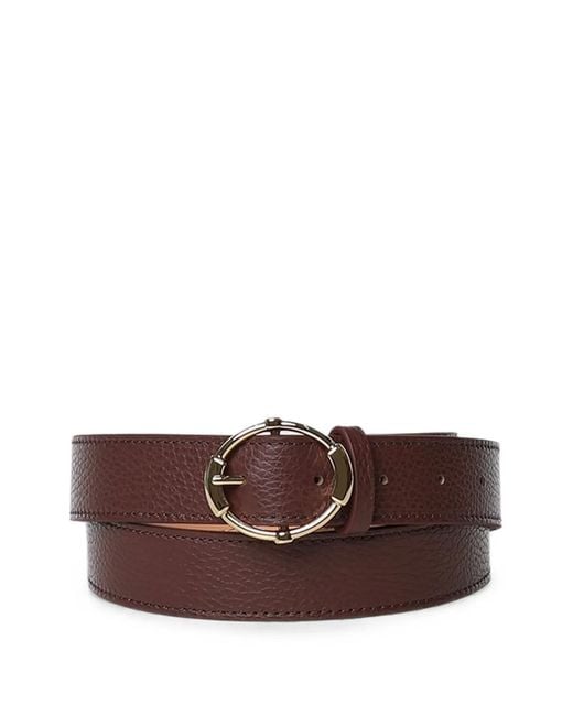 Coccinelle Brown Grainy Belt