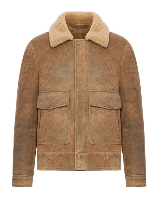 salvatore-santoro-brown-