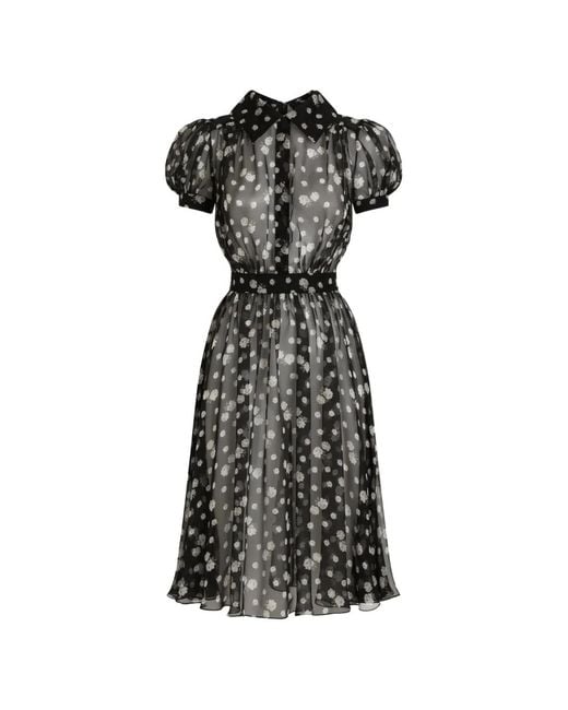Dolce & Gabbana Black Small Rose And Polka Dot-Print Chiffon Dress