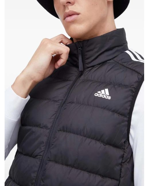 Adidas Blue Three-Stripe Padded Vest for men