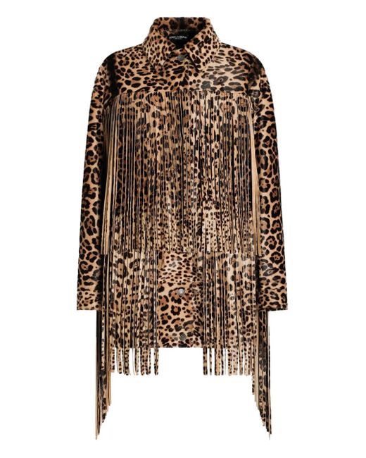 Dolce & Gabbana Brown Leopard-Print Fringe Coat