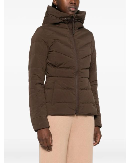 Canada Goose Brown Doudoune Claire À Capuche