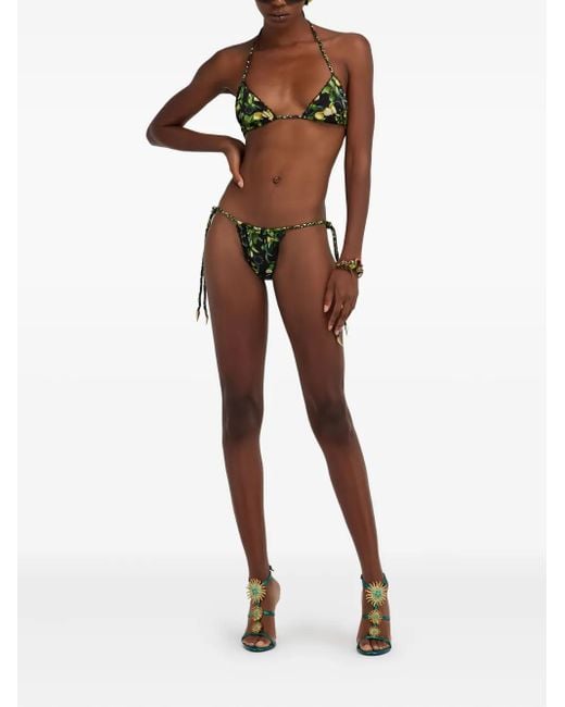 Roberto Cavalli Green Lemon-Print Tie-Side Biquini Bottom