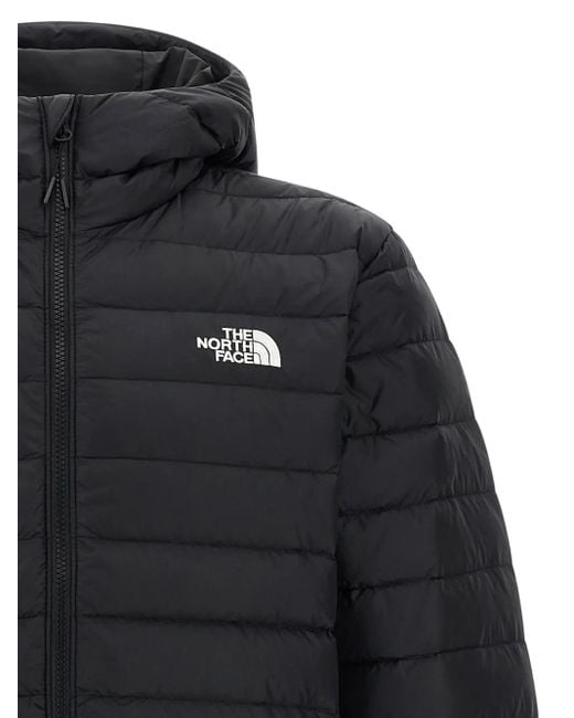 The North Face Blue Classic' Down Jacket for men
