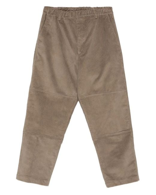 State of Order Gray Panelled Corduroy Trousers for men
