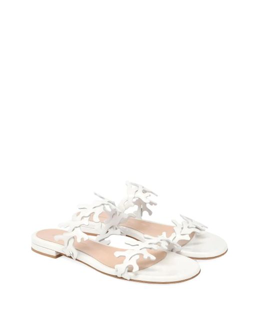 Gianvito Rossi White 10Mm Ocean Coral-Embellishments Flat Sandals