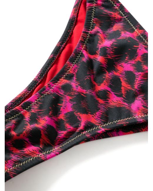 Reina Olga Purple Miami Leopard-print Bikini