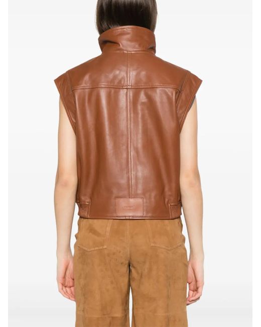 Pinko Gambia ベスト Brown