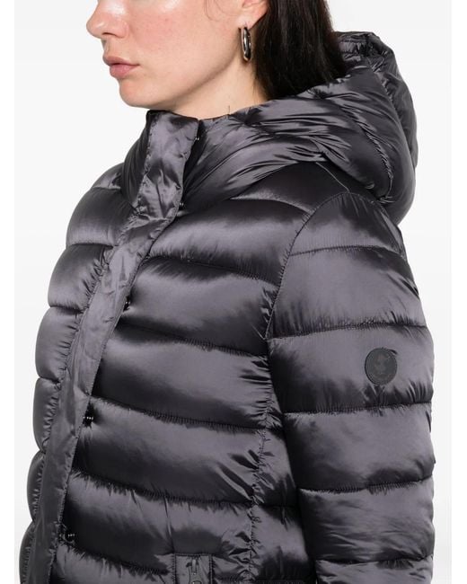 Save The Duck Gray Hooded Padded Jacket