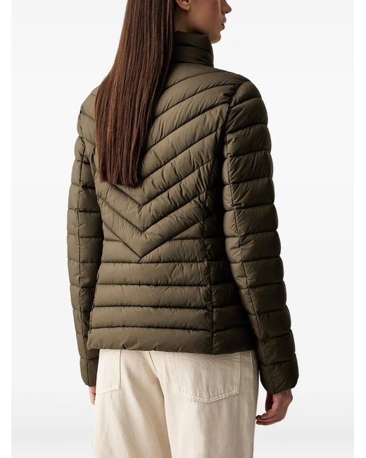 DKNY Black Quilted Puffer Jacket