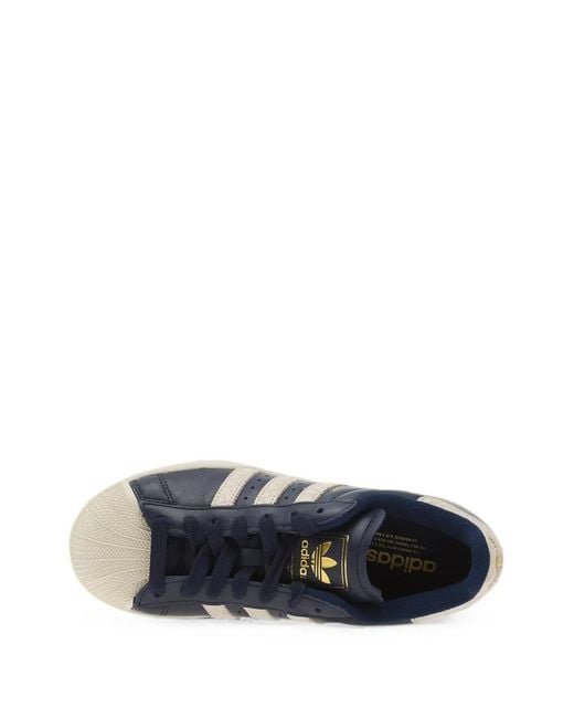 Adidas Blue Superstar Ii Shell-Toe Sneakers