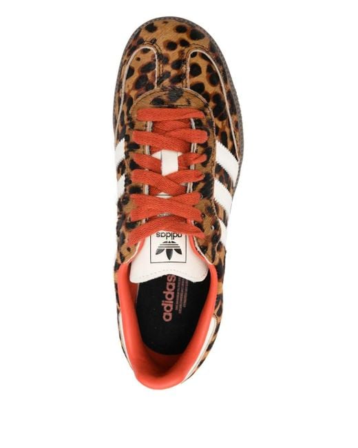 Adidas Brown Sneakers