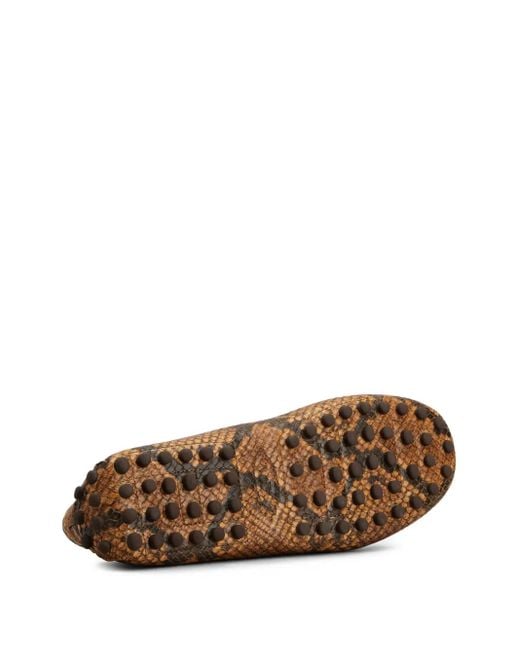 Tod's Brown Loafer Mit Schlangen-Print