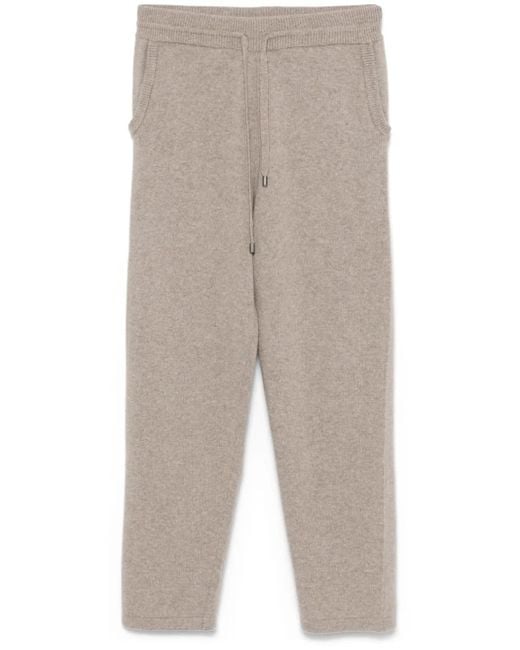 Canali Gray Knitted Track Pants for men
