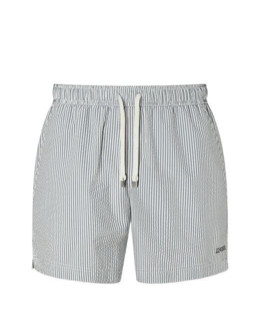 Zegna Gray Striped Swim Trunks for men