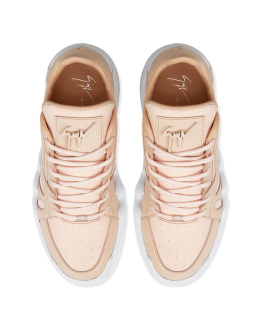 giuseppe zanotti rosa