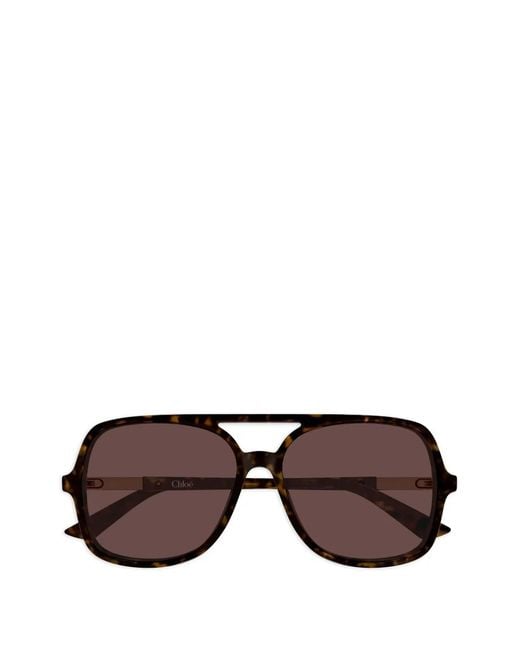 Chloé Brown Judy Sunglasses