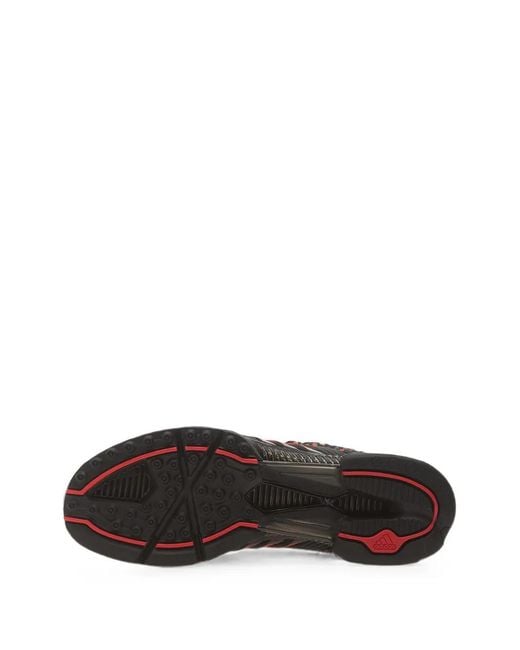 Adidas Brown Climacool 1 Sneakers for men