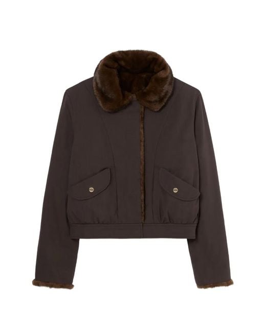 Claudie Pierlot Brown Short Reversible Nylon Parka