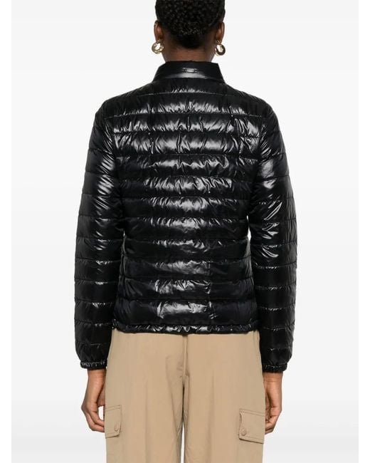Winter Jackets Herno en coloris Black