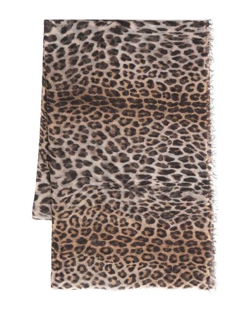Fular Tigrotta con estampado de leopardo Faliero Sarti de color Brown