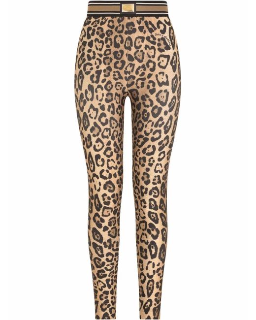 Dolce & Gabbana Natural Leopard-Print Jersey Leggings