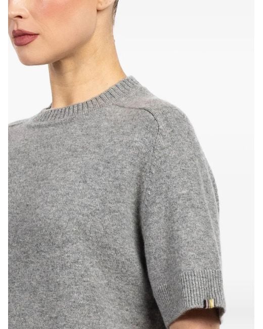 Extreme Cashmere Gray Short-Sleeve Sweater