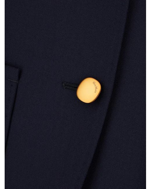Max Mara Blue Faraone Jacket