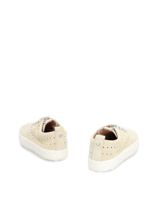 Volta Footwear Natural Suede Sneakers