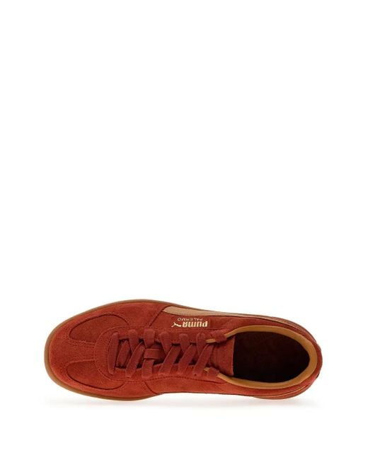PUMA Brown Palermo Sneakers