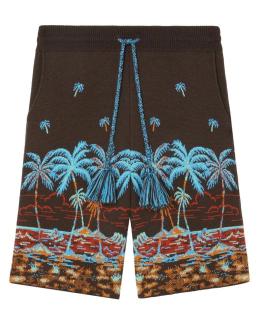 Alanui Blue The Tale Of Hawaiian Shorts for men