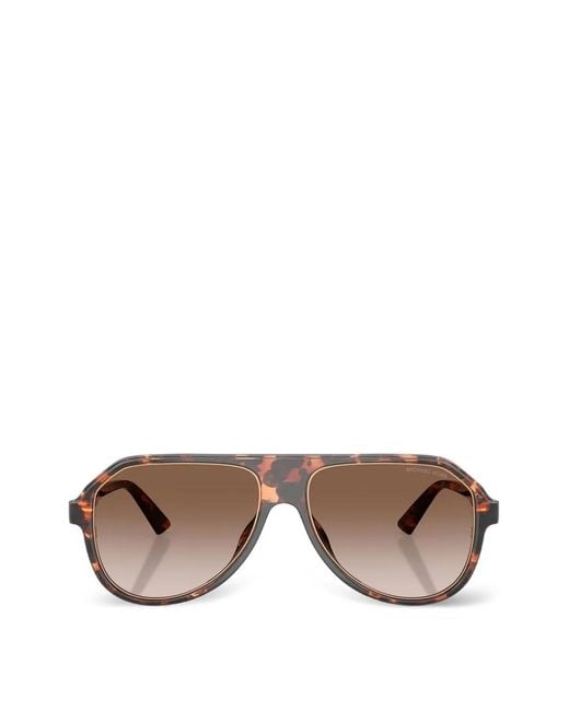 Michael Kors Brown Molokai Sunglasses for men