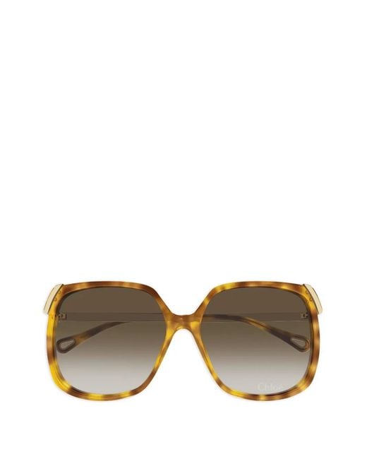 Chloé Brown Aly Oversized-Frame Sunglasses