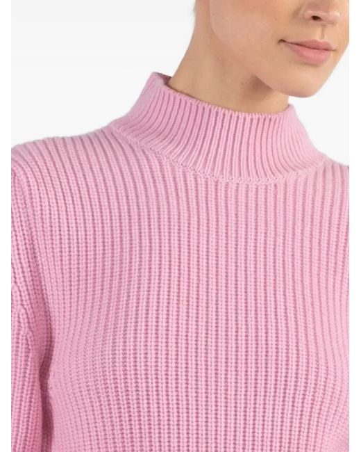 Sa Su Phi Pink Ribbed High-Neck Sweater