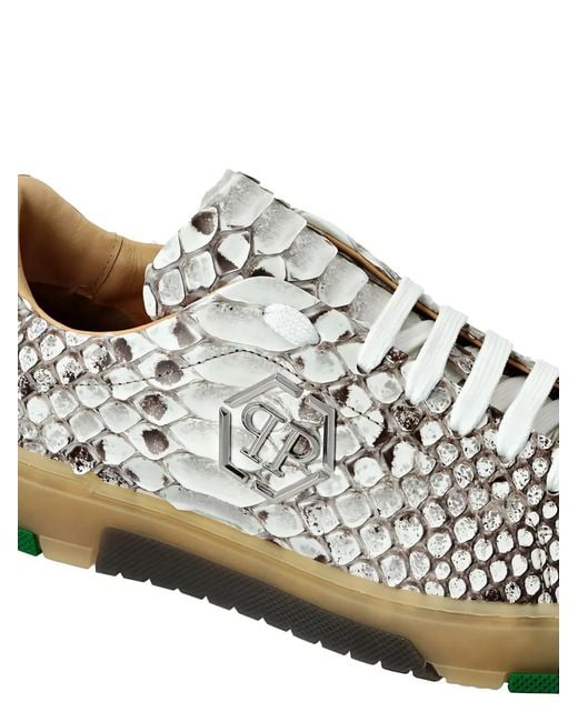 Philipp Plein Green Sneakers Aus Pythonleder
