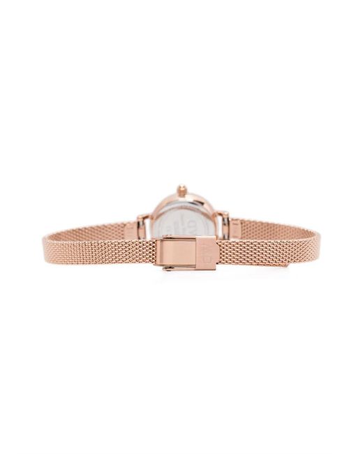 Daniel Wellington Green Petite Mini 19Mm