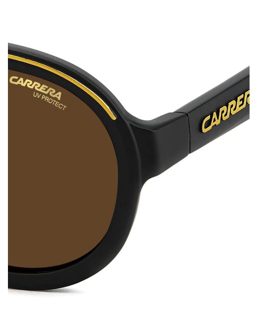 Carrera Brown Browline Sunglasses for men