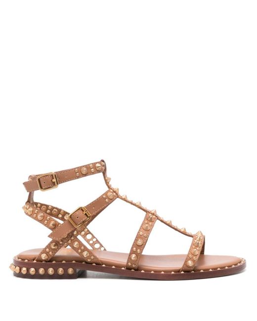 Ash Brown Pepsy Studded Leather Sandals