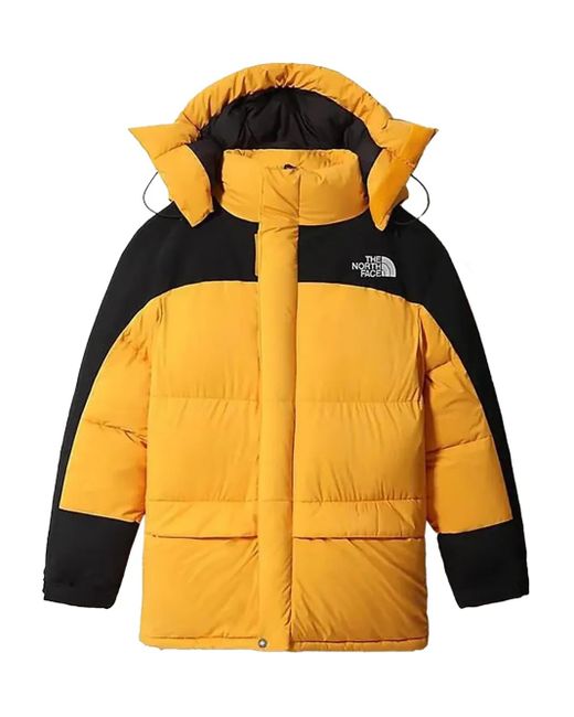 The North Face Orange Hmlyn Down Parka Jacket for men