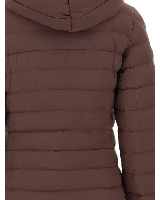 Peuterey Brown Campbell Hooded Down Jacket