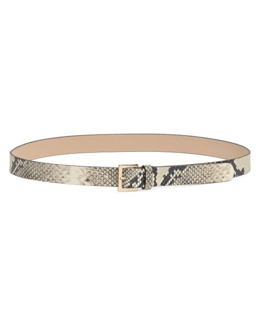 Fabiana Filippi White Python-Print Leather Belt