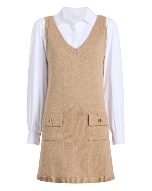 Cinq À Sept Vivianne Mini-Jurk Met V-Hals in het Natural