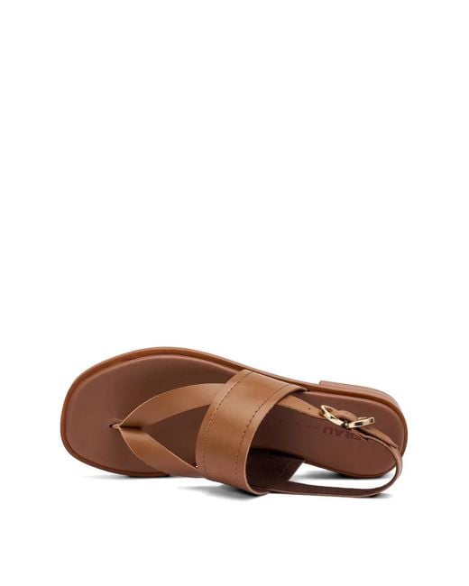 Frau Brown Sandales En Cuir