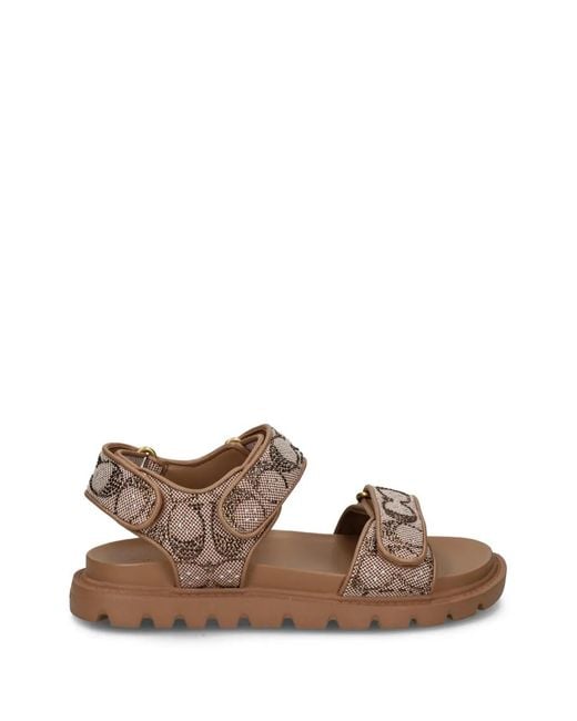 COACH Brown Brynn Logo Sandals