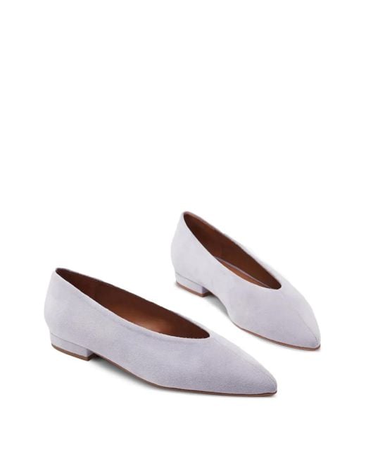 Flattered Gray Pointed-Toe Suede Flat Pumps