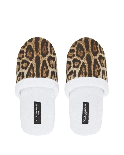 Dolce & Gabbana White Leopard-Print Terry Slippers