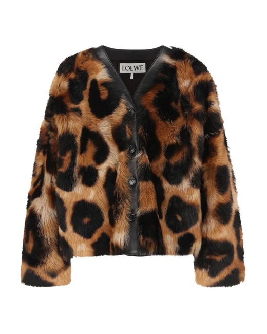 Loewe Black Leopard-Print Shearling Jacket